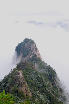 黄山风光 云雾 风雨黄山 云海