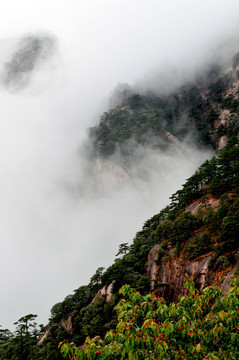 黄山 云雾 风雨黄山 云海