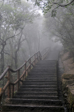 黄山 云雾 风雨黄山 台阶