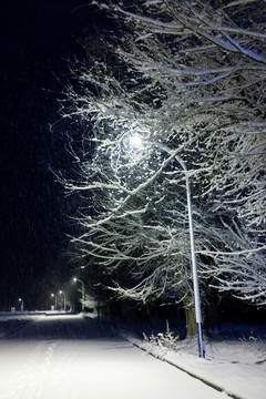 雪夜