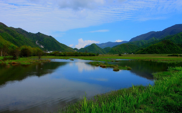 高山湿地