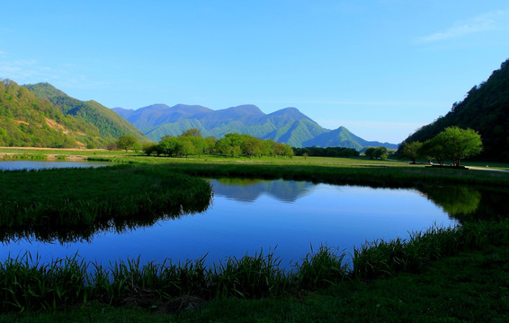 高山湿地