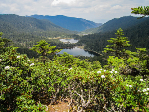 丽江老君山原始森林 三才湖