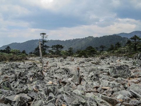 丽江老君山石河