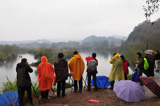 婺源秋色 烟雨江南 水墨江南