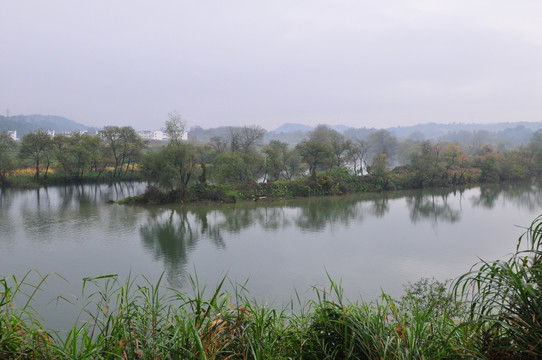 婺源秋色 烟雨江南 水墨江南