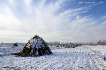 农田（冬季农田）