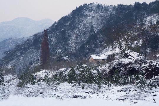 雪景