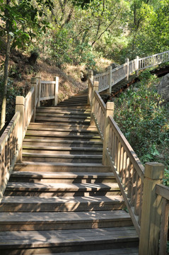 木质阶梯路