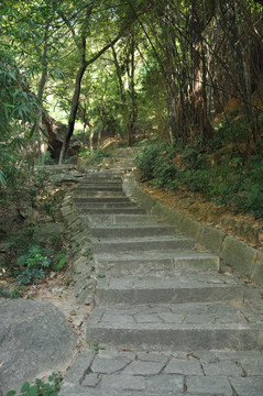 上山小路