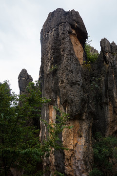 石林喀斯特地貌