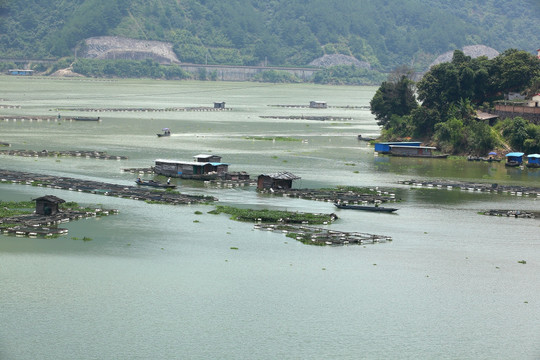 水口水库水产养殖