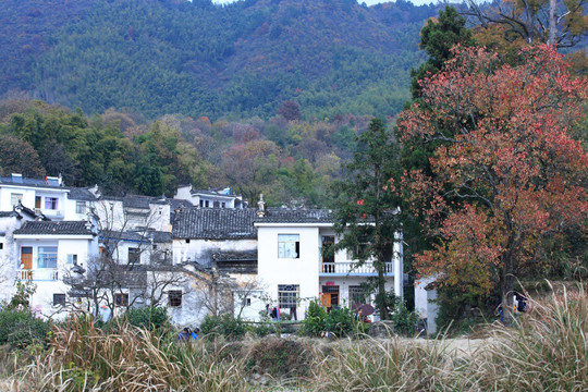 塔川的秋天