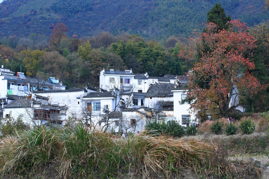 秋天的山村