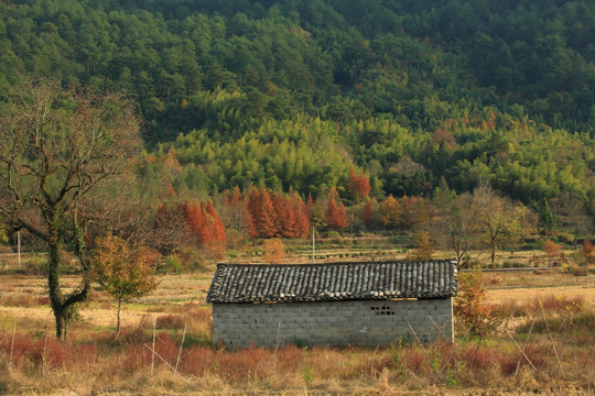 小屋