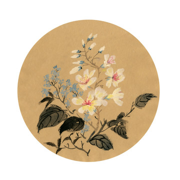 小野花 裝飾畫
