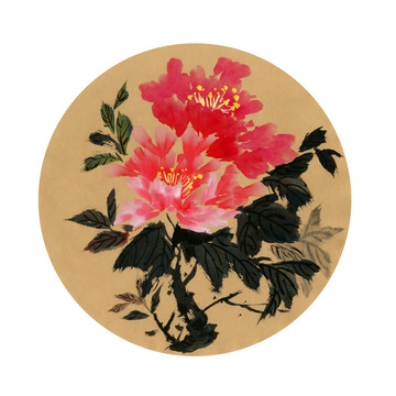 紅牡丹 手繪牡丹
