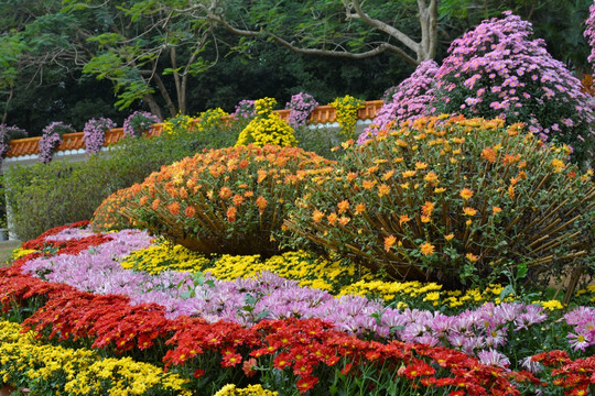 花繁叶茂