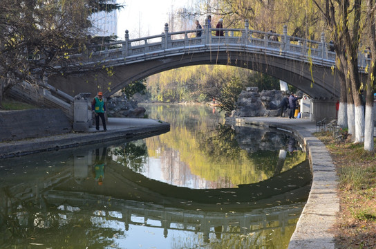 兴庆湖美景