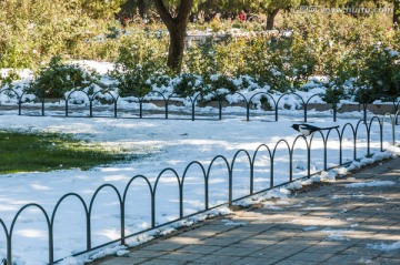 天坛初雪