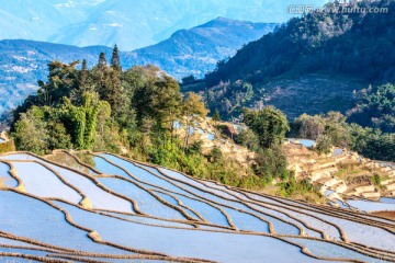 元阳梯田