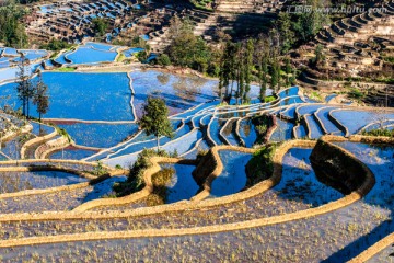 元阳梯田