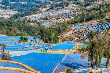 元阳梯田