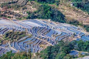 元阳梯田