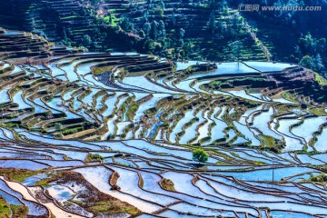 甲寅梯田