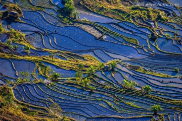 元阳梯田