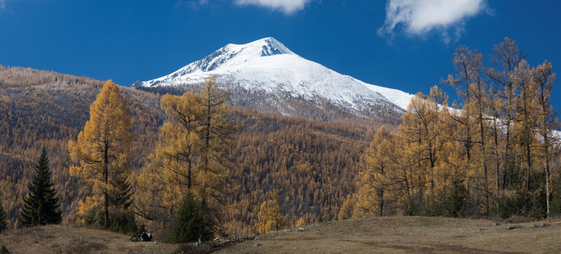 新疆北部阿尔泰山深秋壮丽的风景