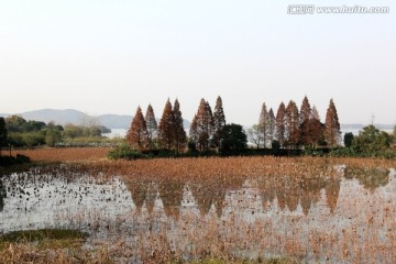 森林公园风景