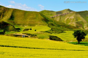 高原农场