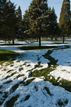 雪地 天坛公园