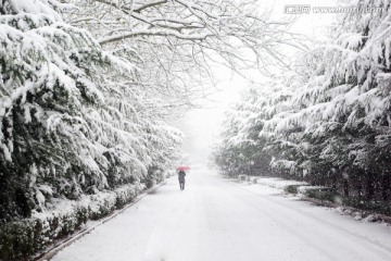 冰雪