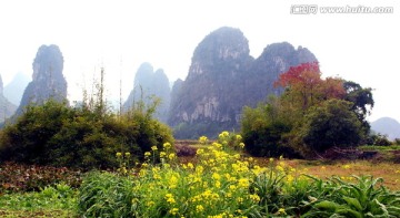 桂林山水