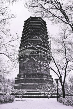 慈寿寺塔