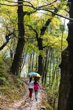 红枫古道