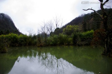 大鲨鱼风光