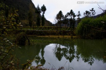 對稱式構(gòu)圖
