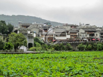 和顺古镇 和顺民居 和顺侨乡