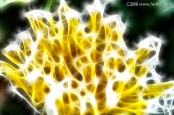 光感花卉抽象裝飾畫