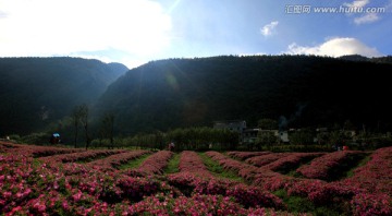 山水田园自然风光