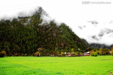 林芝风景