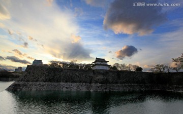 日本大阪公园樱花