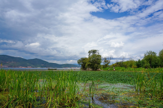 云南大理湖泊湿地