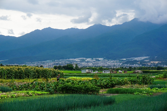 大理洱海田园风光