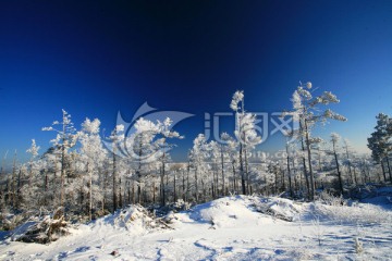 林海雪原