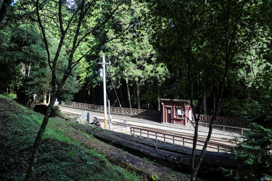 阿里山景区