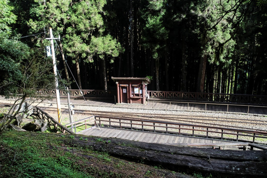 阿里山景区